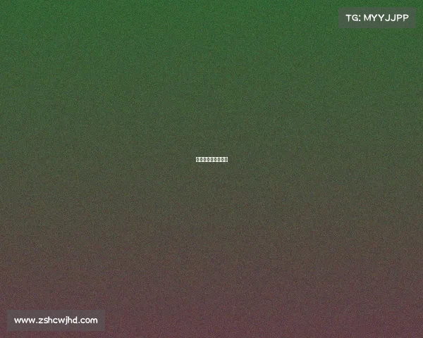 法国篮球赛事有哪些