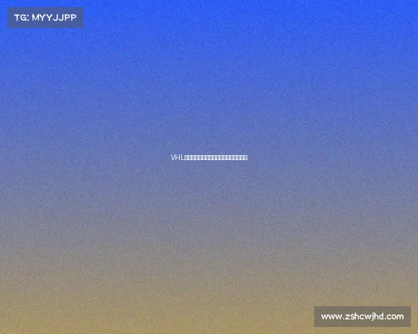 VHL冰球联赛激情开赛全球强队角逐终极荣耀